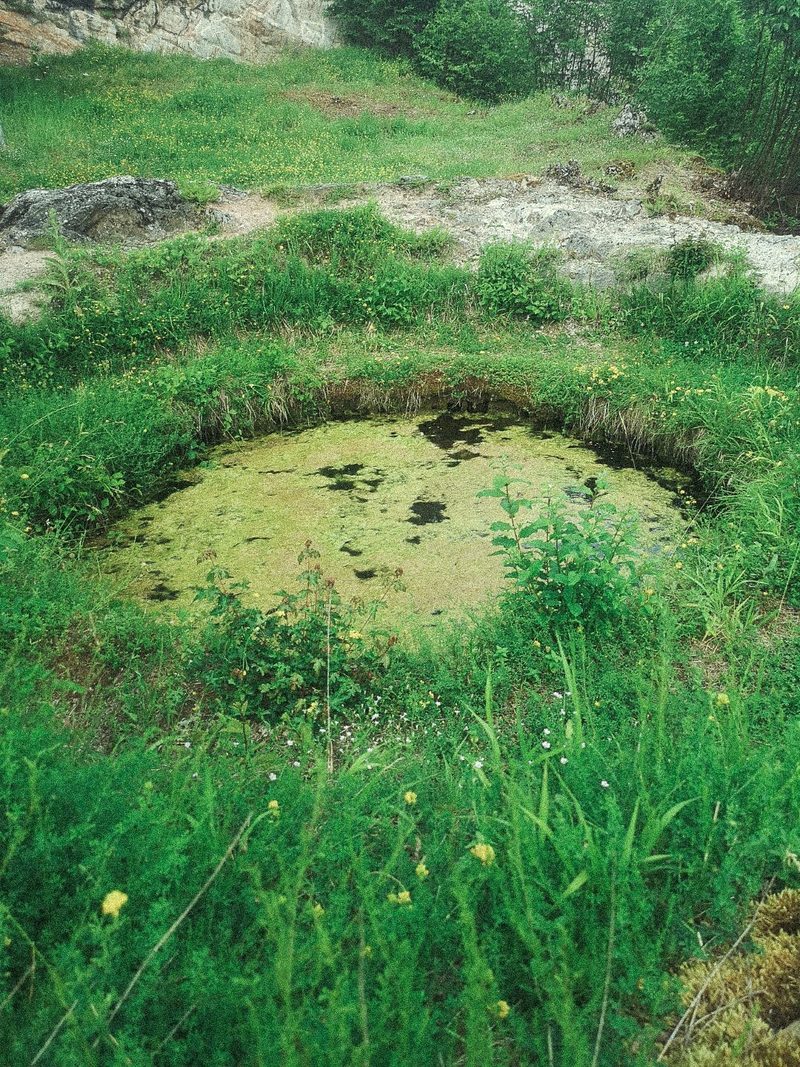 The cistern beside the tower