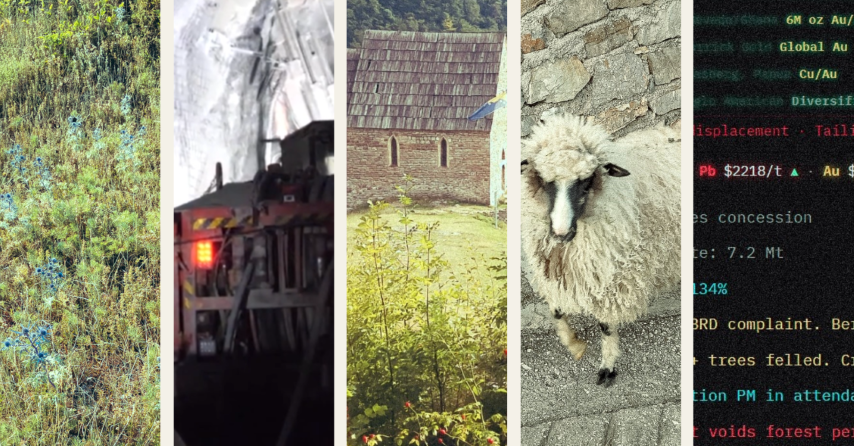 Konzept-Foto Collage aus fünf vertikalen Panels: Waldtextur, Herdfeuer, hölzerne Dachschindeln, Lamm im Profil, Terminal-Ausgabe. Visuelle Schichten von TEREN_SЛОЈЕVИ¹: Wald, Feuer, vernakuläre Architektur, tierisches Sein, Klang-Code.
